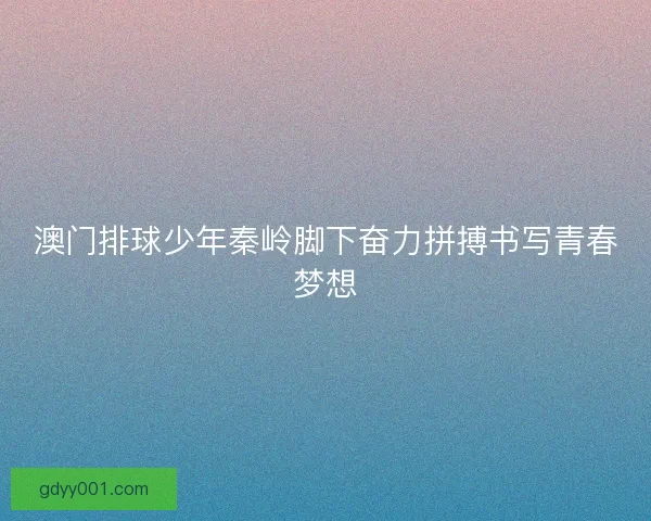 澳门排球少年秦岭脚下奋力拼搏书写青春梦想
