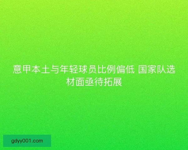 意甲本土与年轻球员比例偏低 国家队选材面亟待拓展