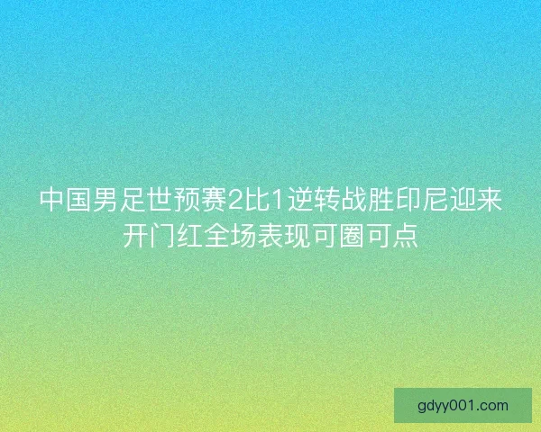 中国男足世预赛2比1逆转战胜印尼迎来开门红全场表现可圈可点